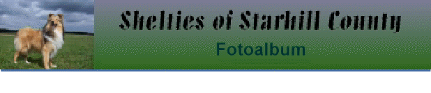 Fotoalbum