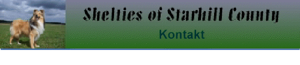 Kontakt
