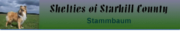 Stammbaum