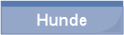 Hunde